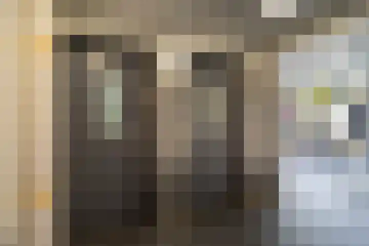 Professor Cobbenhagenlaan 398 Tilburg thumbnail 25