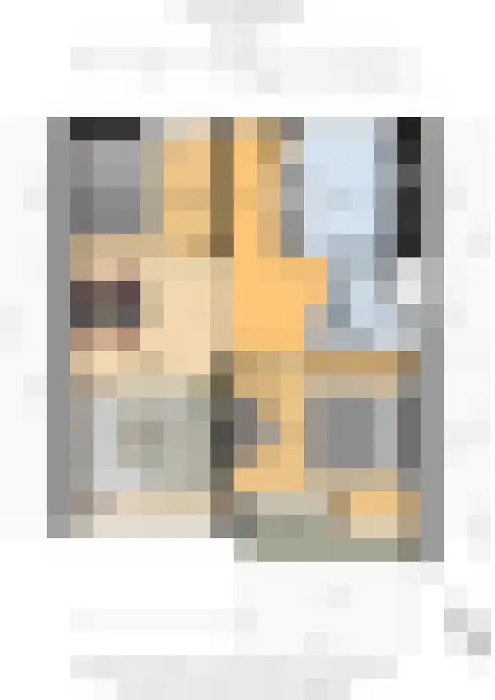 Professor Cobbenhagenlaan 398 Tilburg thumbnail 29