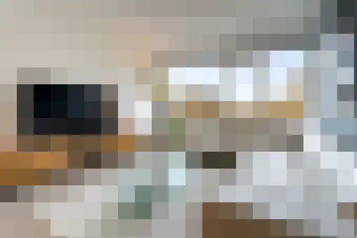 Professor Cobbenhagenlaan 398 Tilburg thumbnail 4