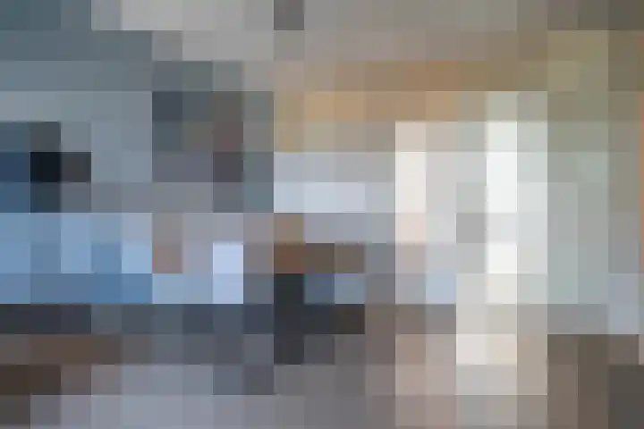 Professor Cobbenhagenlaan 398 Tilburg thumbnail 6