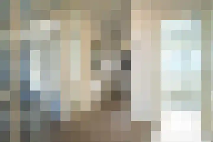 Professor Cobbenhagenlaan 398 Tilburg thumbnail 7