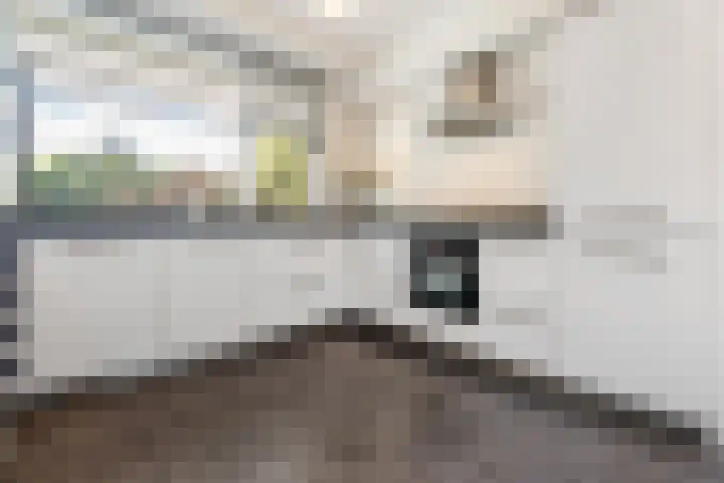 Professor Cobbenhagenlaan 424 Tilburg thumbnail 14