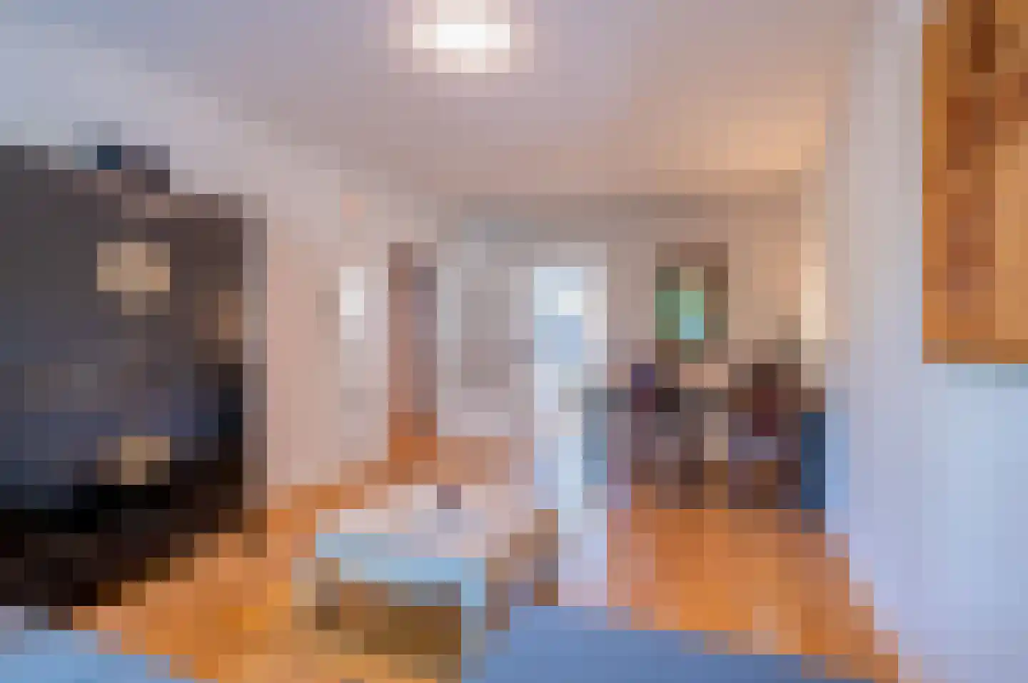 Professor Cobbenhagenlaan 438 Tilburg thumbnail 11