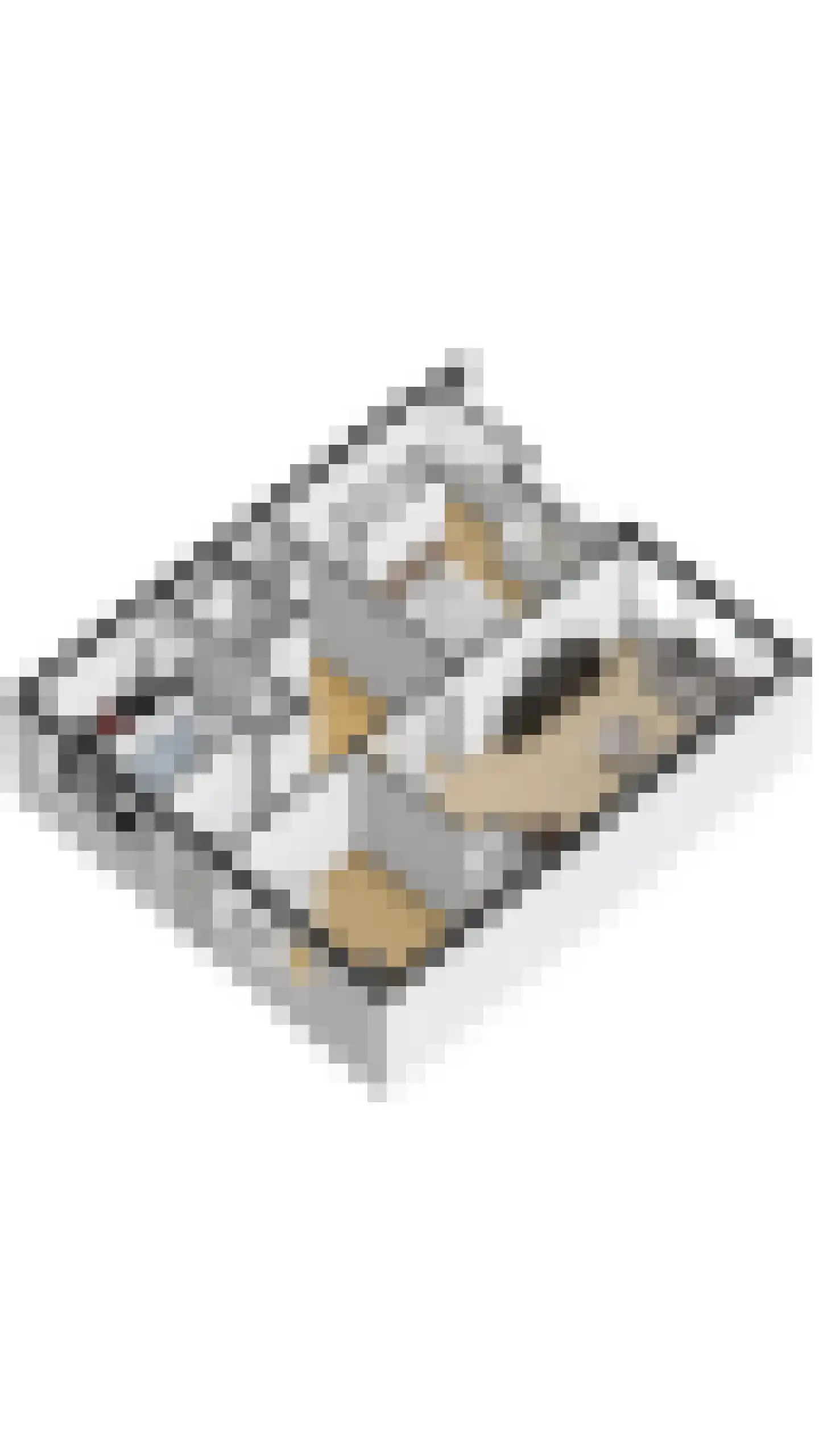 Professor Cobbenhagenlaan 444 Tilburg thumbnail 26
