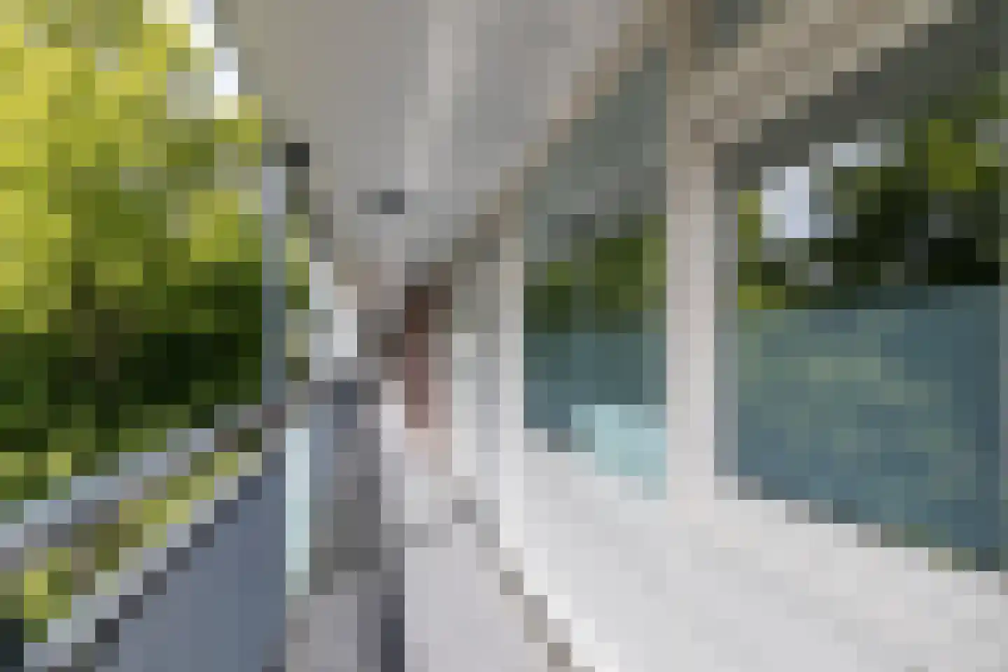 Professor Cobbenhagenlaan 490 Tilburg thumbnail 10
