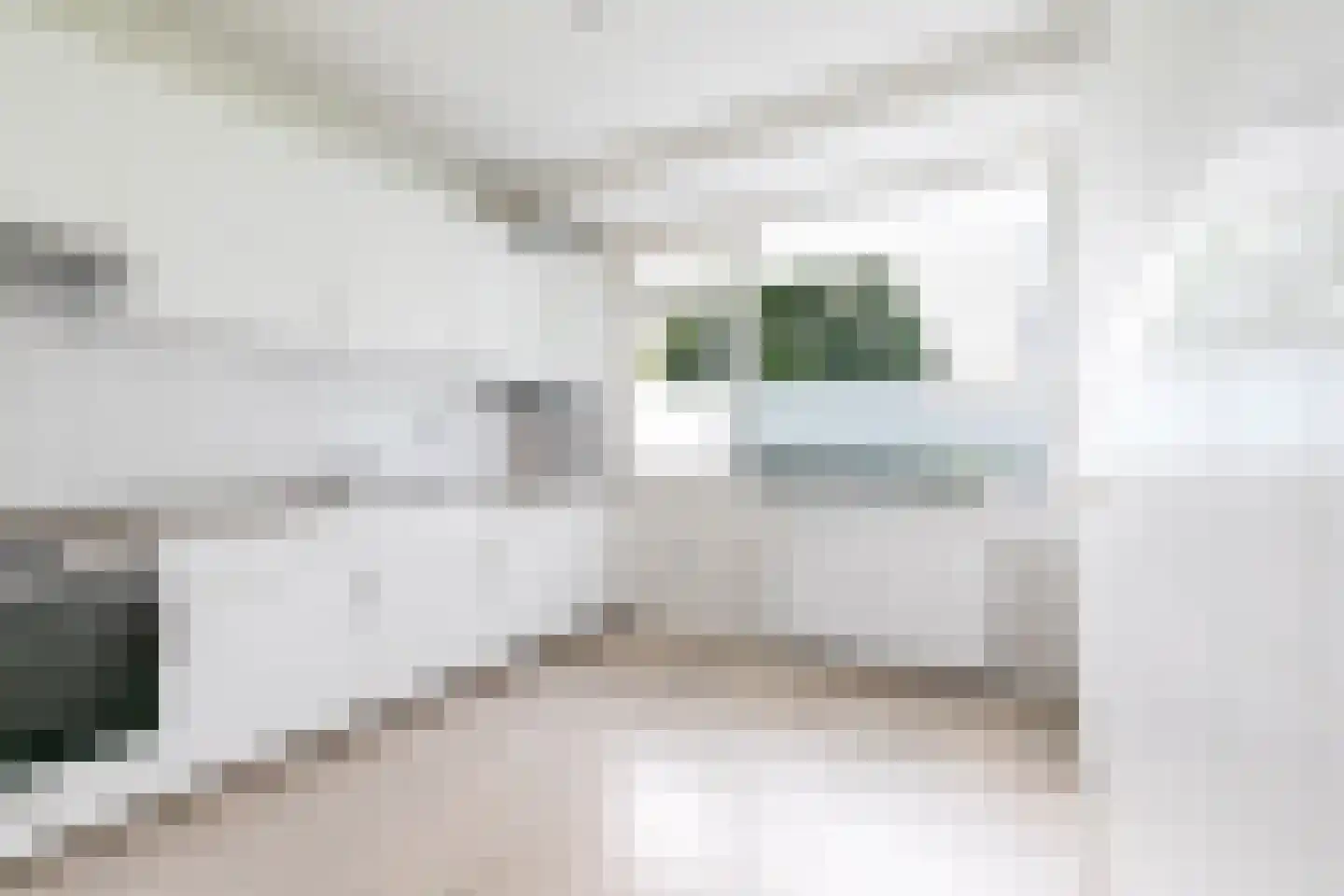 Professor Cobbenhagenlaan 490 Tilburg thumbnail 27