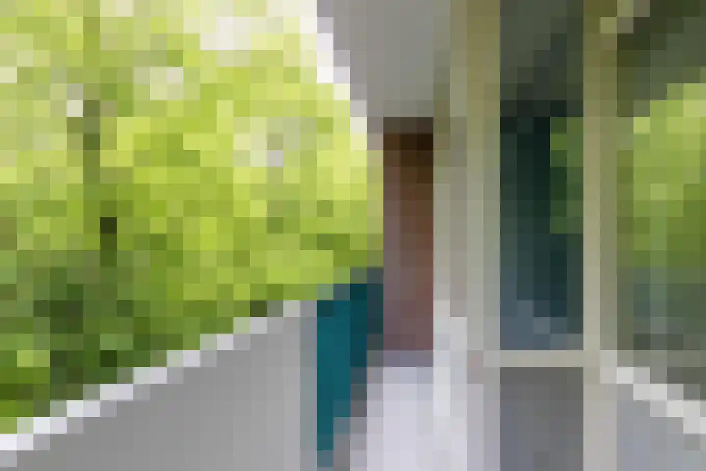 Professor Cobbenhagenlaan 490 Tilburg thumbnail 38