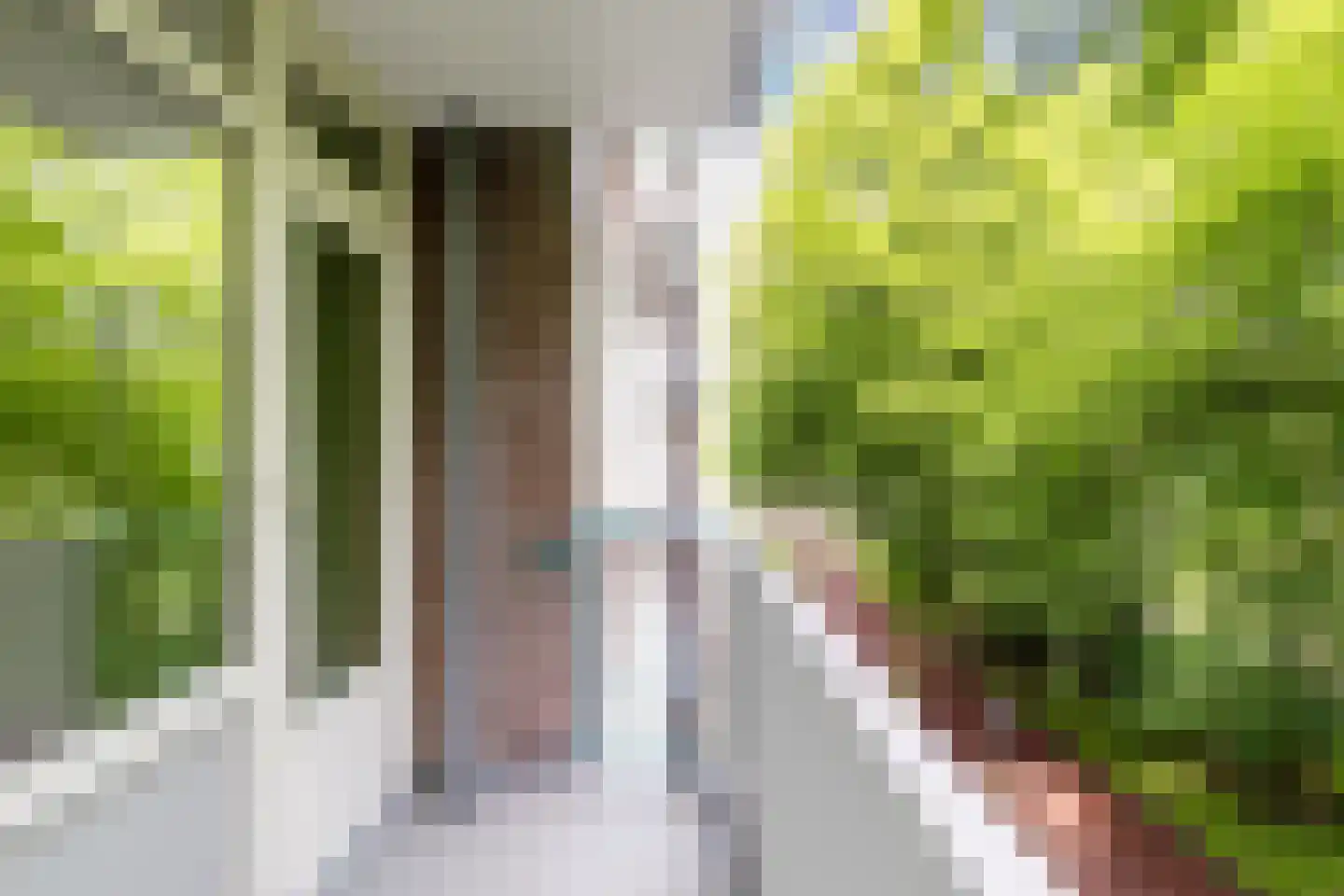 Professor Cobbenhagenlaan 490 Tilburg thumbnail 39