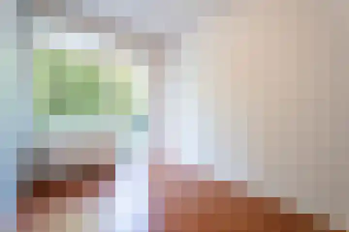 Professor Cobbenhagenlaan 500 Tilburg thumbnail 10