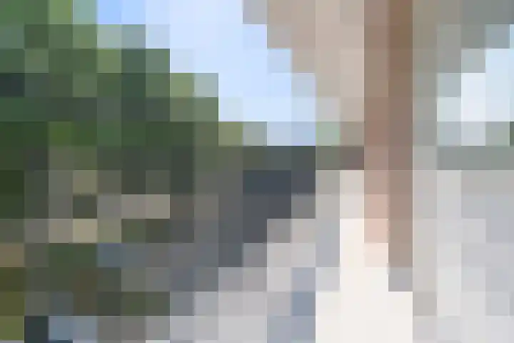 Professor Cobbenhagenlaan 500 Tilburg thumbnail 19