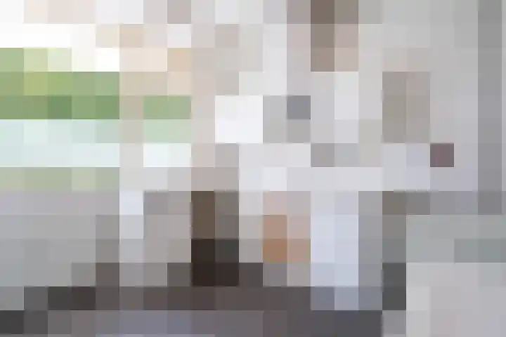 Professor Cobbenhagenlaan 500 Tilburg thumbnail 6