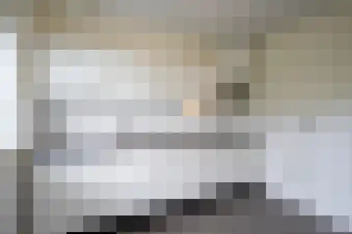 Professor Cobbenhagenlaan 564 Tilburg thumbnail 12
