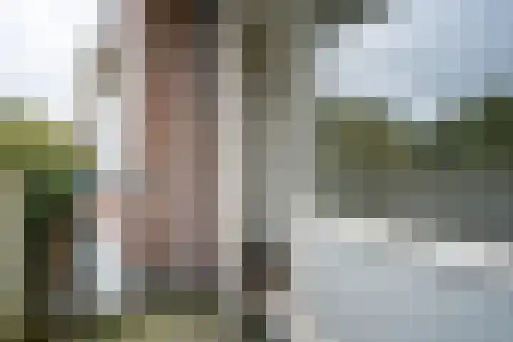 Professor Cobbenhagenlaan 564 Tilburg thumbnail 17