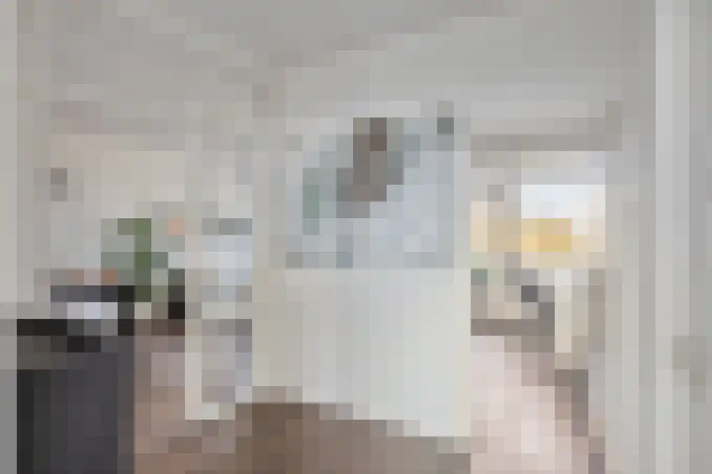 Professor Cobbenhagenlaan 572 Tilburg thumbnail 12