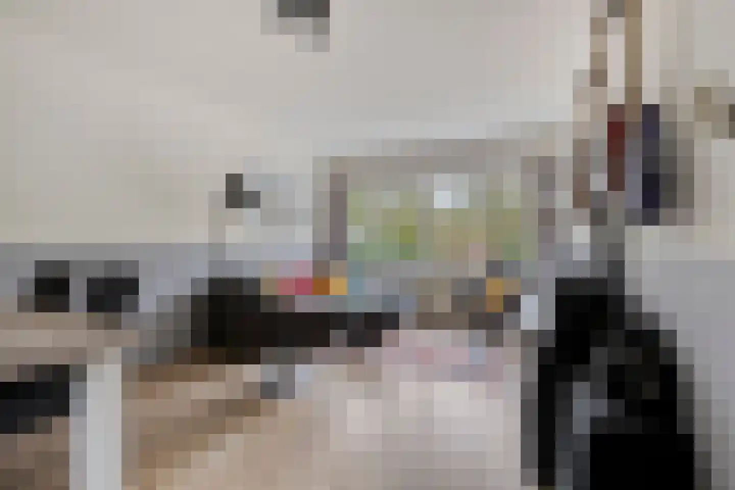 Professor Cobbenhagenlaan 60 Tilburg thumbnail 16