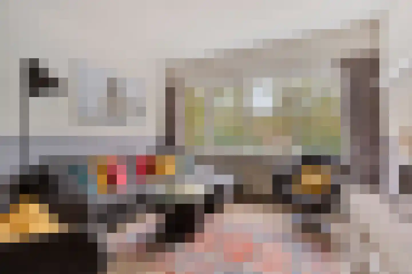Professor Cobbenhagenlaan 60 Tilburg thumbnail 17
