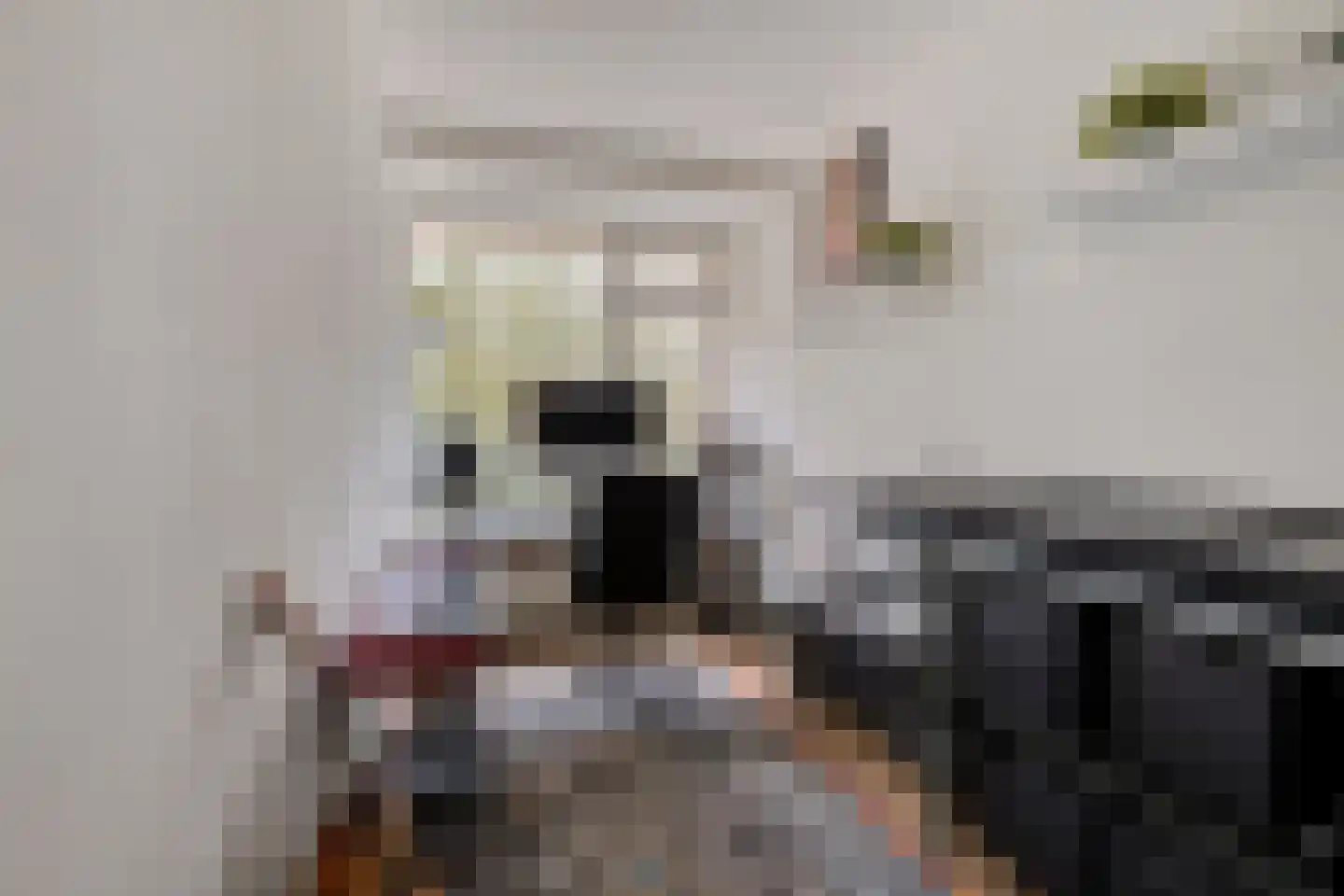 Professor Cobbenhagenlaan 60 Tilburg thumbnail 28