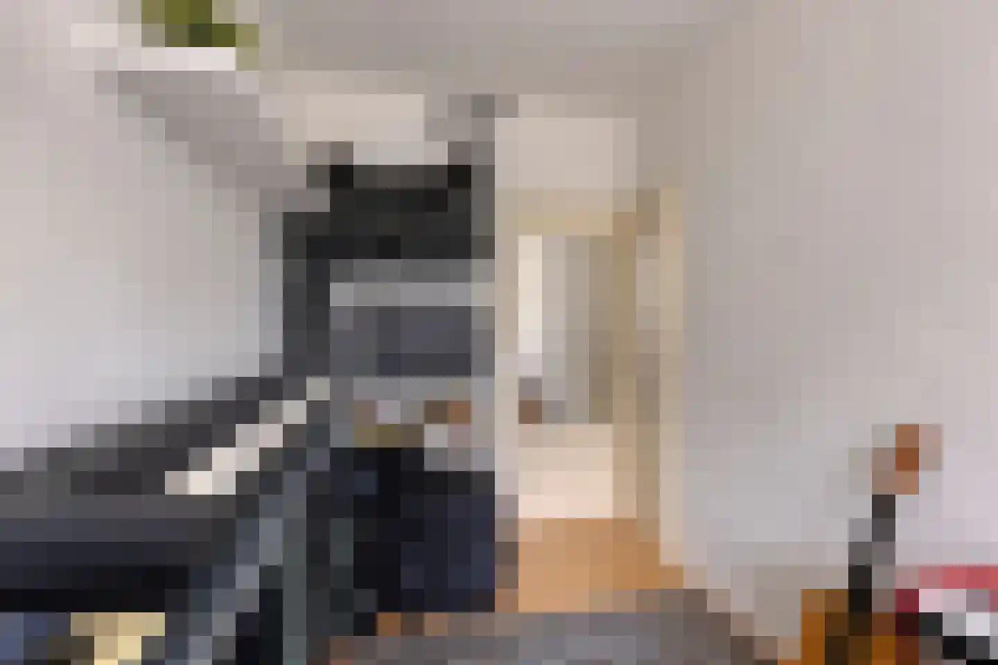 Professor Cobbenhagenlaan 60 Tilburg thumbnail 29