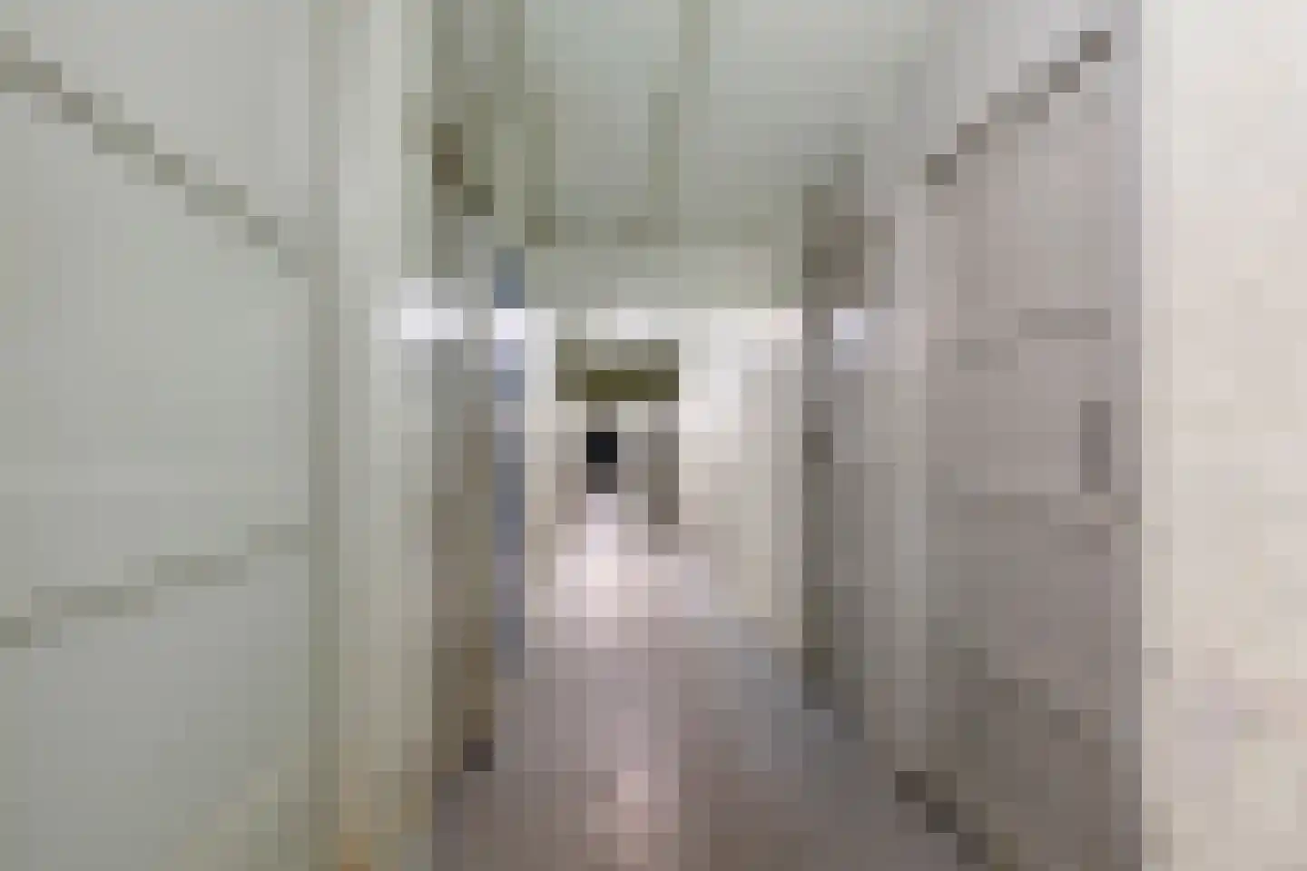 Professor Cobbenhagenlaan 60 Tilburg thumbnail 33