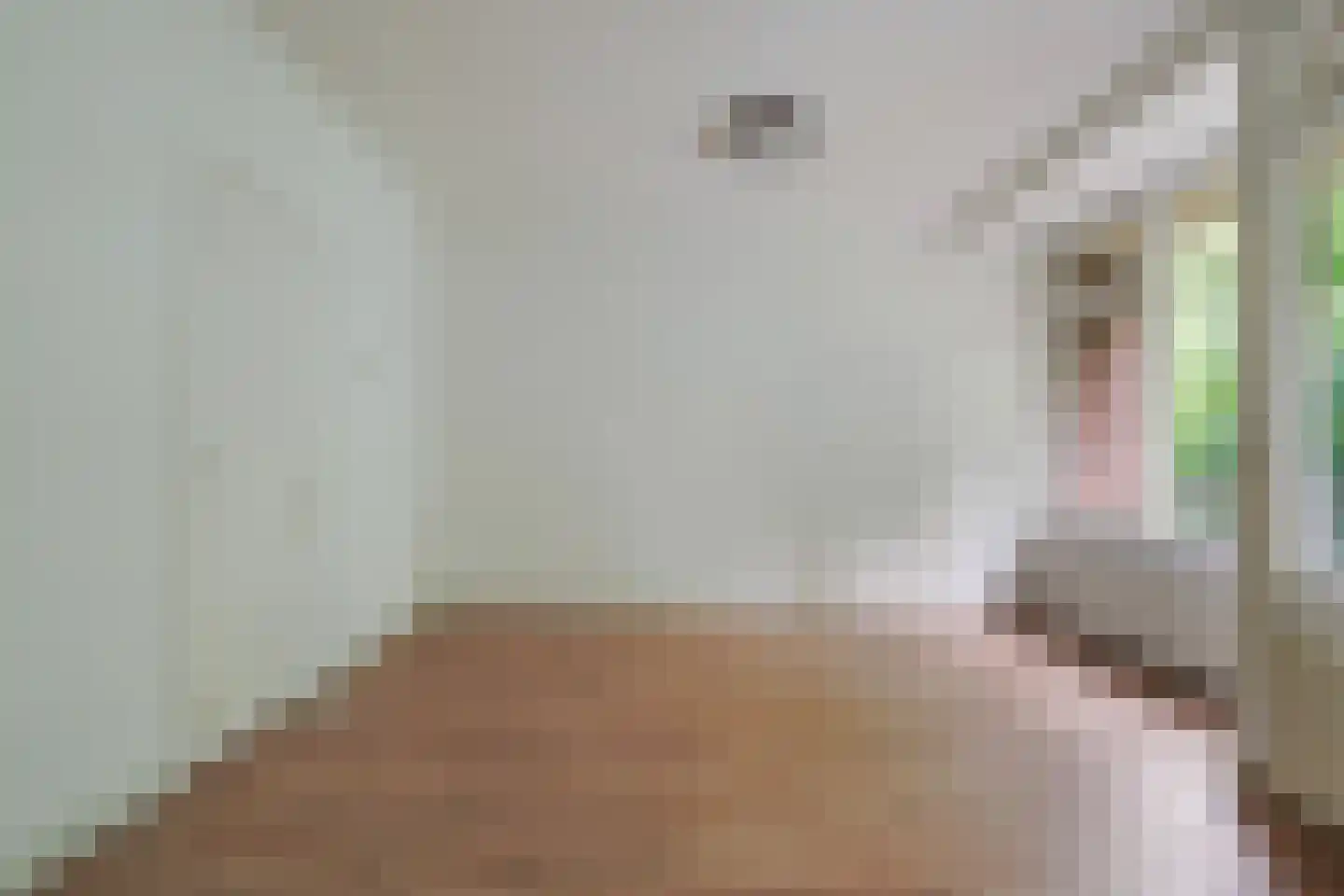 Professor Cobbenhagenlaan 70 Tilburg thumbnail 16