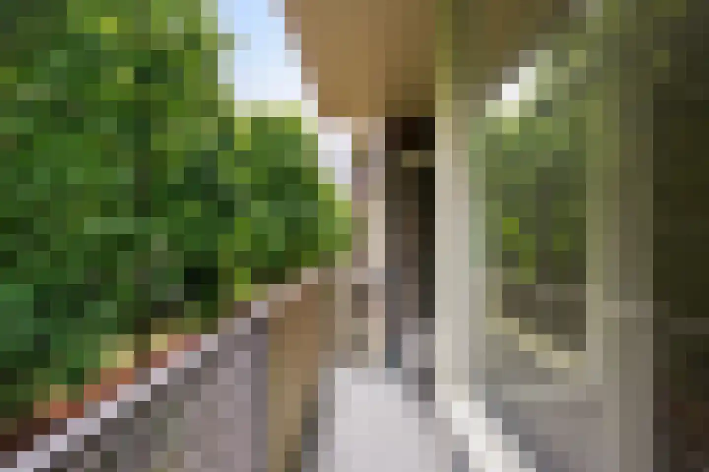 Professor Cobbenhagenlaan 70 Tilburg thumbnail 19