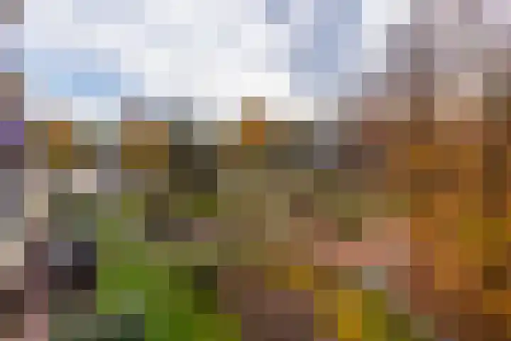 Professor Cobbenhagenlaan 716 Tilburg thumbnail 13