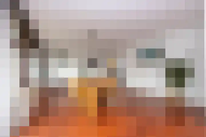Professor Cobbenhagenlaan 716 Tilburg thumbnail 14