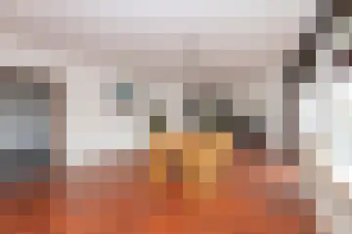 Professor Cobbenhagenlaan 716 Tilburg thumbnail 15
