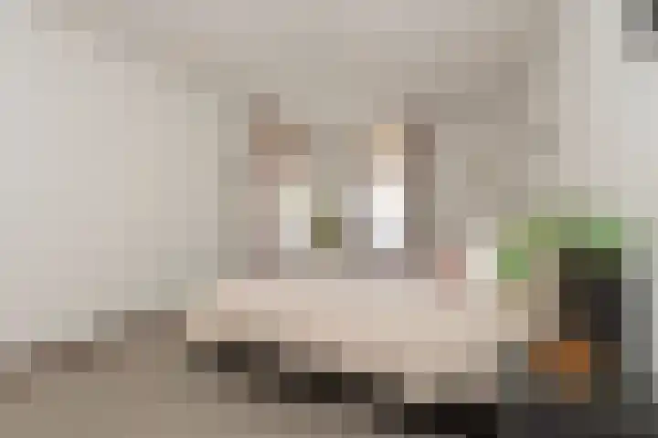 Professor Cobbenhagenlaan 716 Tilburg thumbnail 24