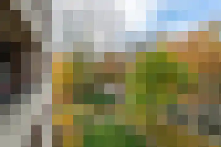 Professor Cobbenhagenlaan 716 Tilburg thumbnail 27