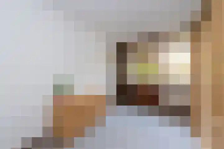 Professor Cobbenhagenlaan 716 Tilburg thumbnail 30