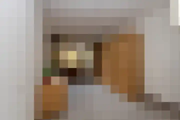 Professor Cobbenhagenlaan 716 Tilburg thumbnail 31