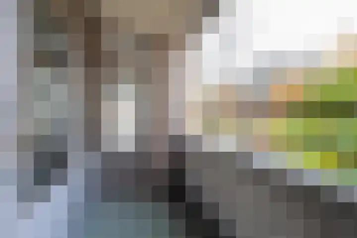 Professor Cobbenhagenlaan 716 Tilburg thumbnail 33