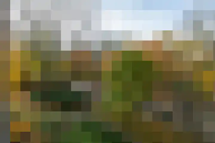 Professor Cobbenhagenlaan 716 Tilburg thumbnail 34