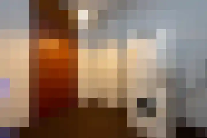 Professor Cobbenhagenlaan 716 Tilburg thumbnail 38