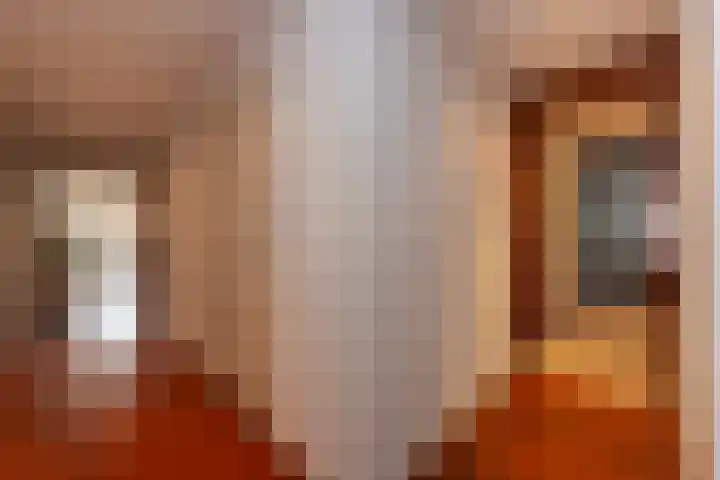 Professor Cobbenhagenlaan 716 Tilburg thumbnail 4