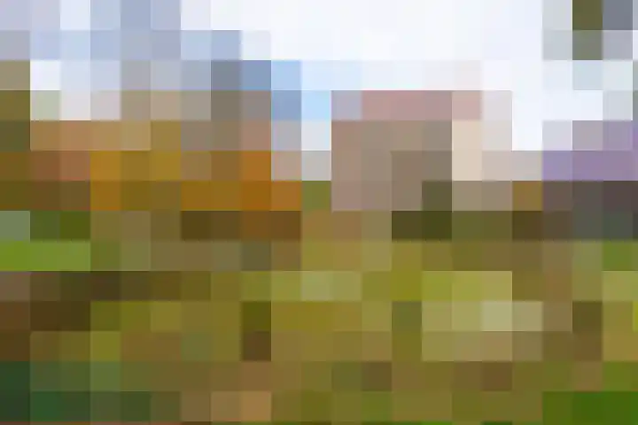 Professor Cobbenhagenlaan 716 Tilburg thumbnail 44