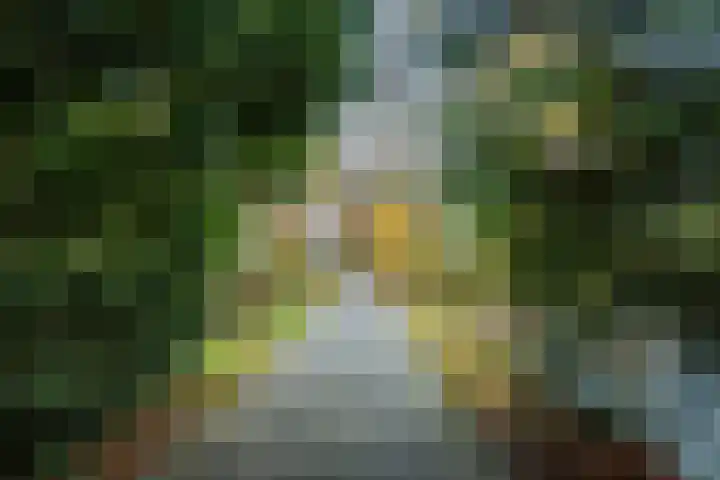 Professor Cobbenhagenlaan 716 Tilburg thumbnail 45