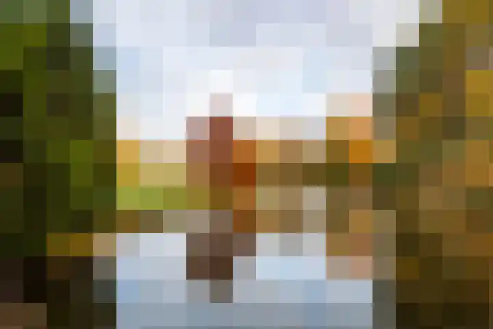 Professor Cobbenhagenlaan 716 Tilburg thumbnail 47