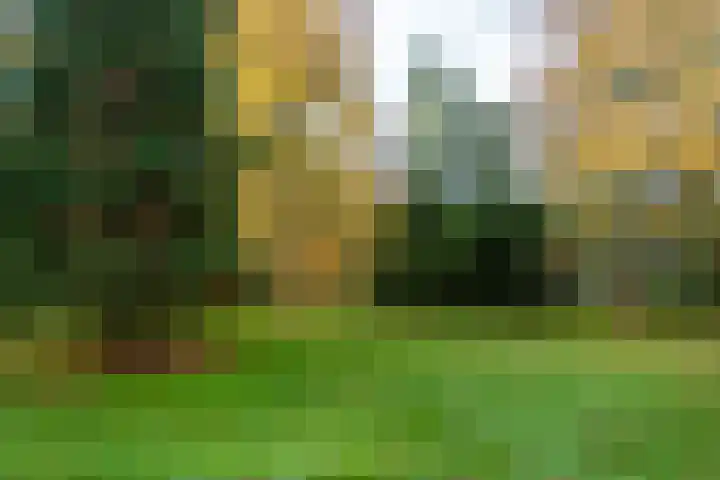 Professor Cobbenhagenlaan 716 Tilburg thumbnail 48