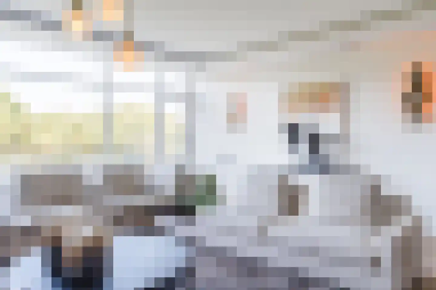Professor Cobbenhagenlaan 756 Tilburg thumbnail 16