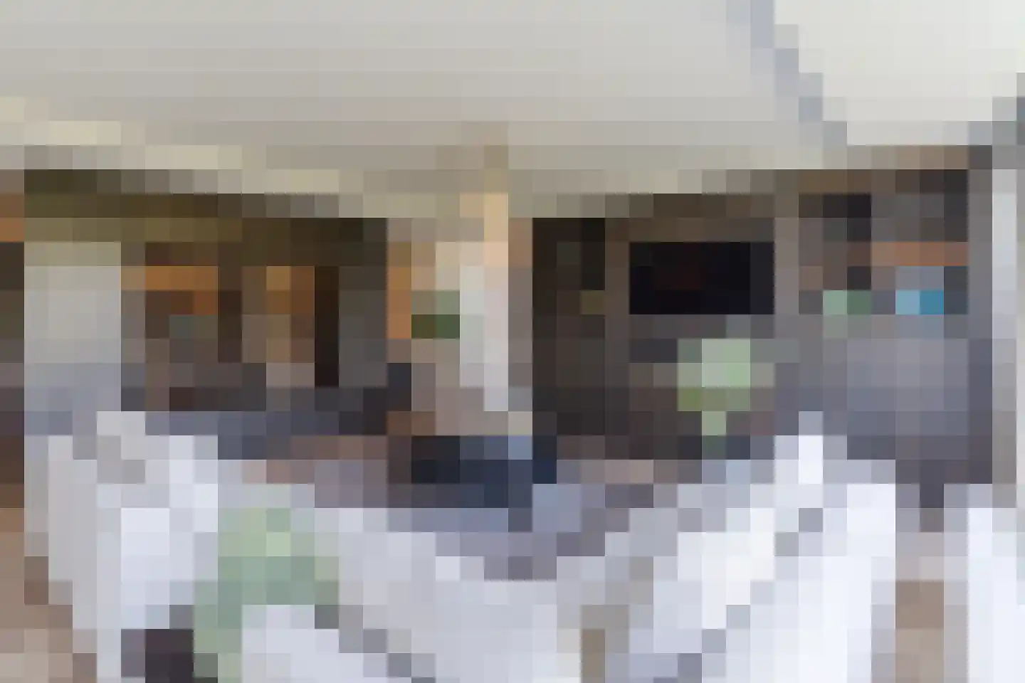 Professor Cobbenhagenlaan 756 Tilburg thumbnail 17