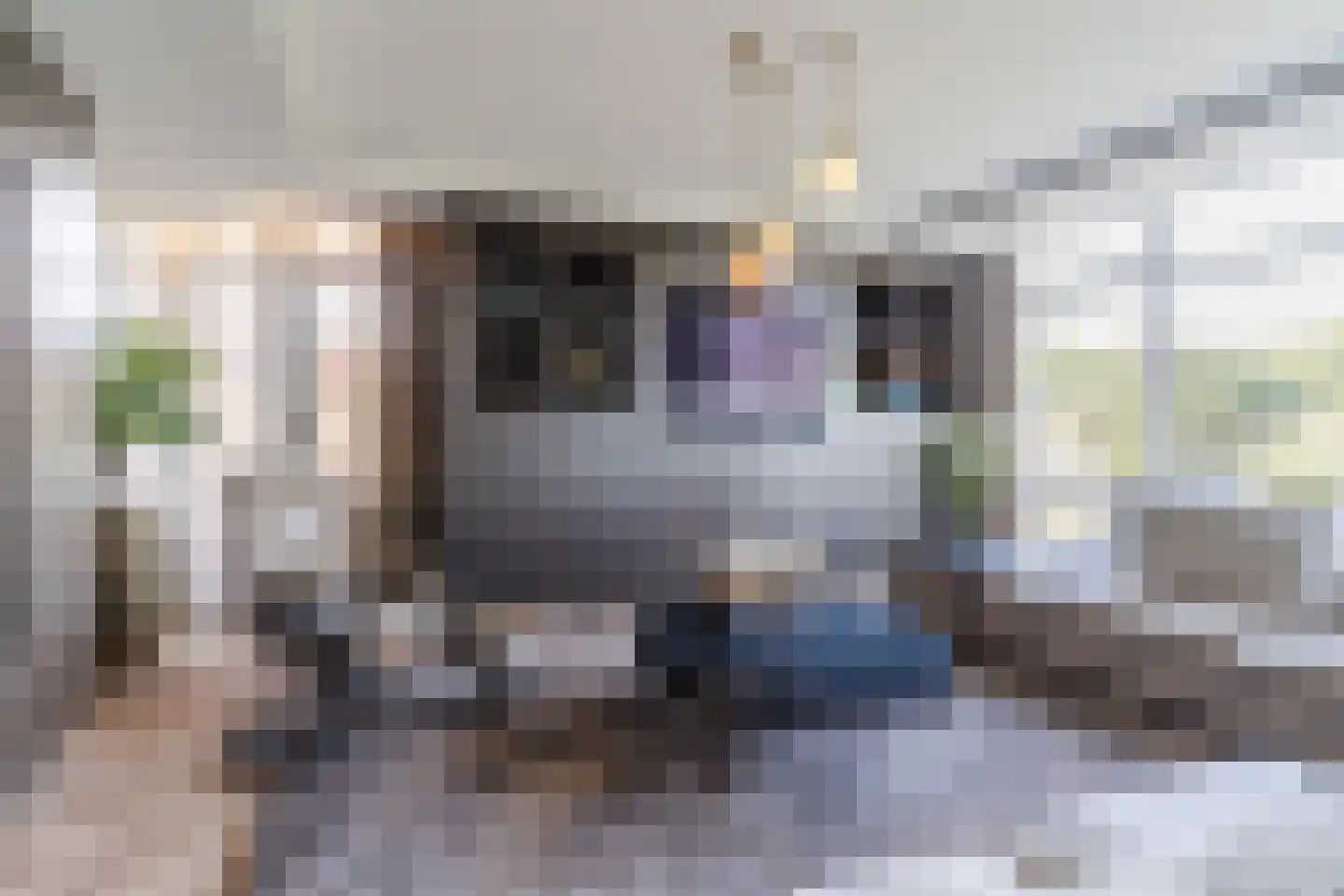 Professor Cobbenhagenlaan 756 Tilburg thumbnail 18