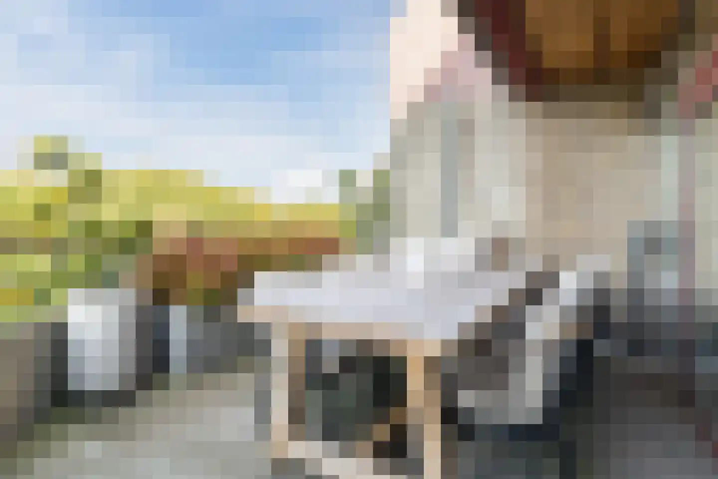 Professor Cobbenhagenlaan 756 Tilburg thumbnail 21