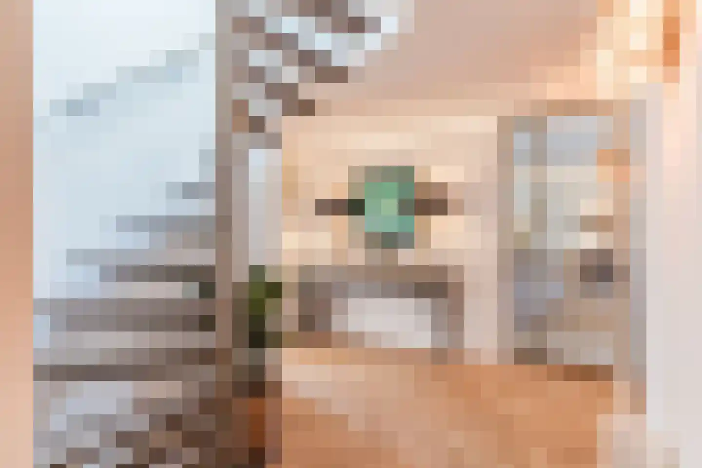 Professor Cobbenhagenlaan 756 Tilburg thumbnail 39