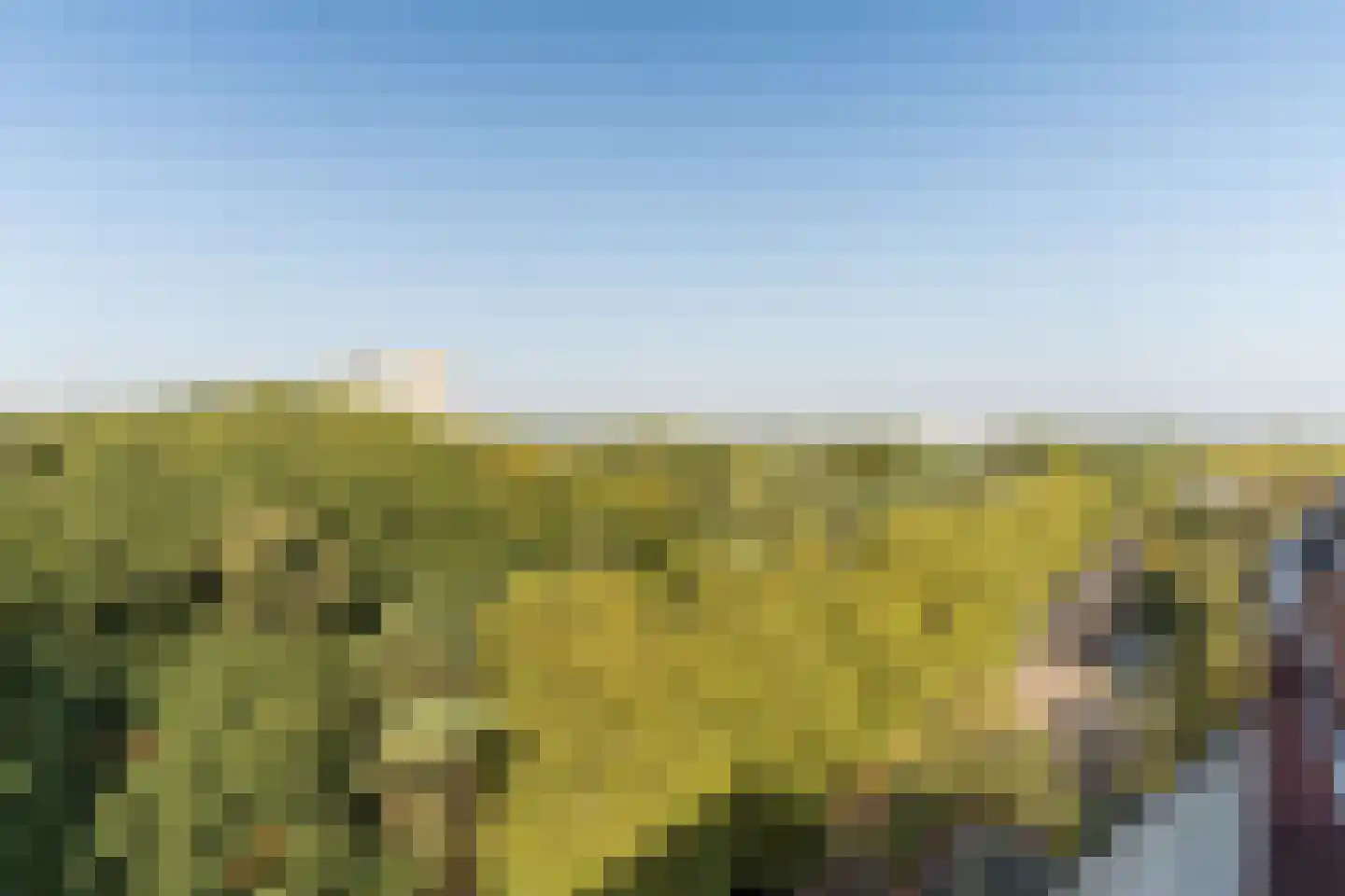 Professor Cobbenhagenlaan 756 Tilburg thumbnail 45