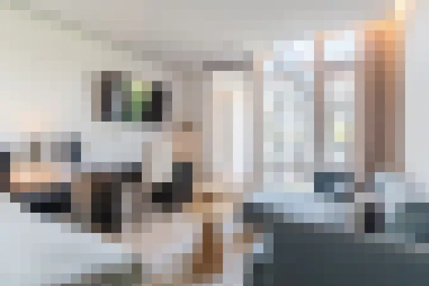 Professor Cobbenhagenlaan 756 Tilburg thumbnail 53