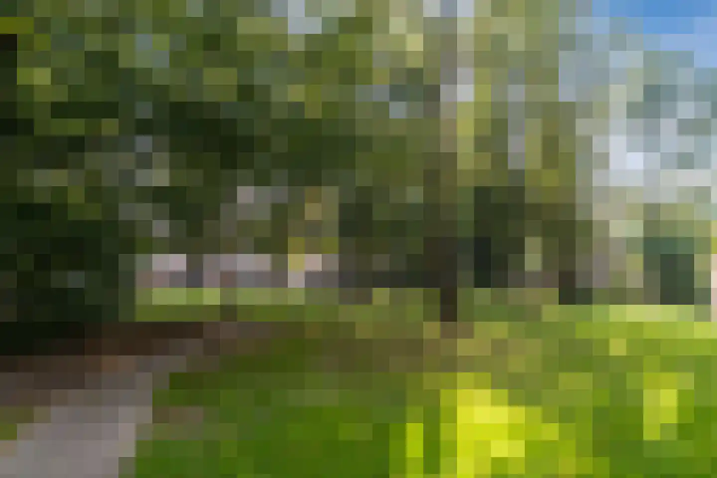 Professor Cobbenhagenlaan 756 Tilburg thumbnail 66