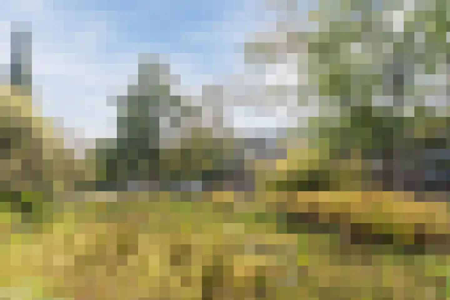 Professor Cobbenhagenlaan 756 Tilburg thumbnail 67