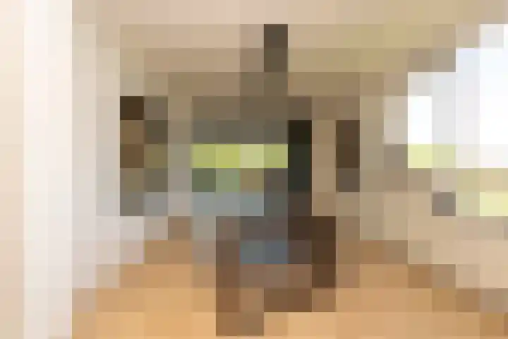 Professor Cobbenhagenlaan 758 Tilburg thumbnail 11